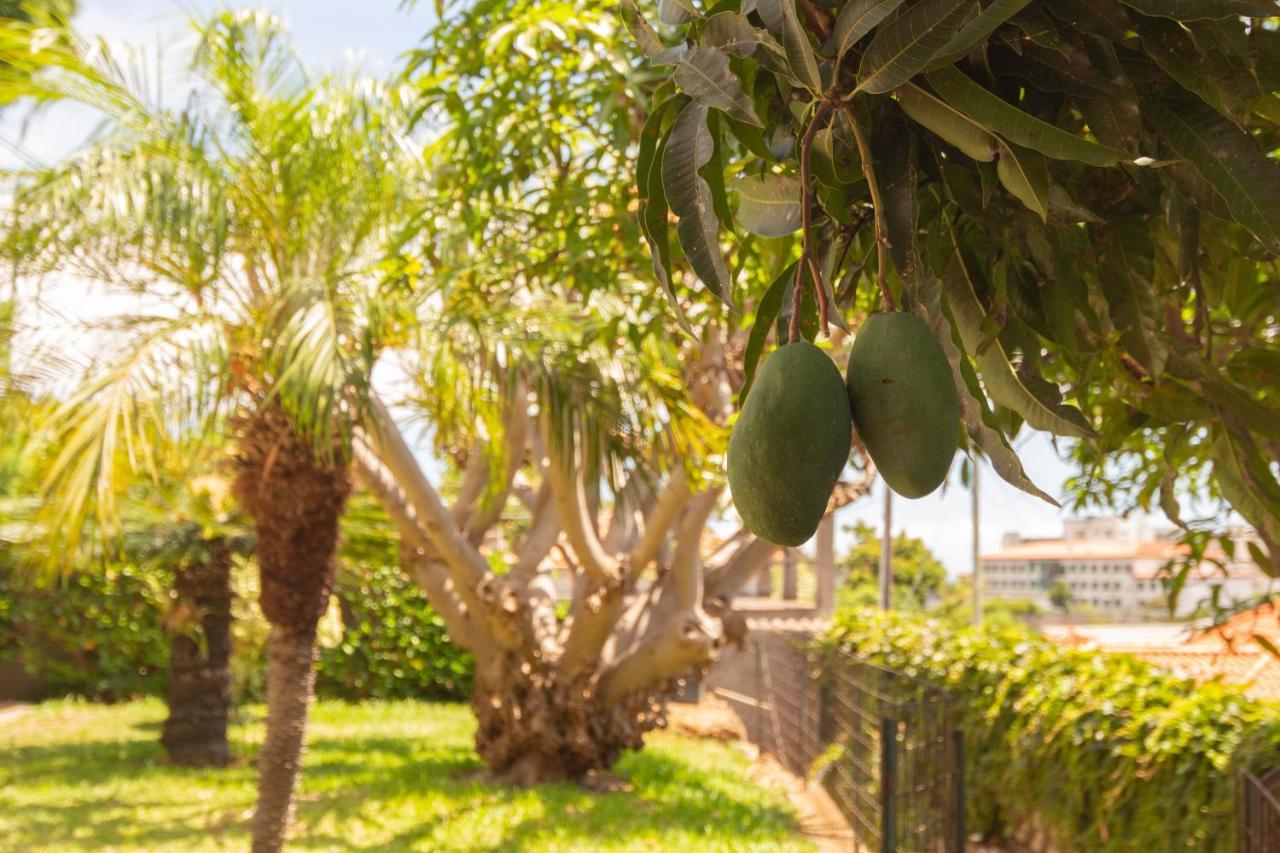 הוילה פונשל Pilar House מראה חיצוני תמונה